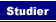 Lokale og nettbaserte studier